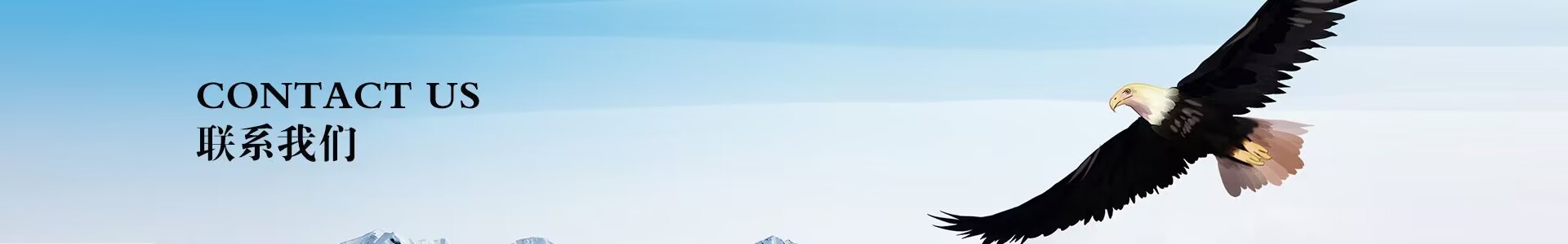 联系我们